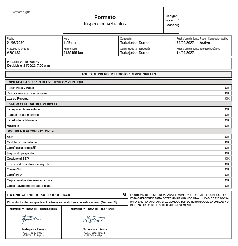 Seguridad Vial y PESV — Formato PDF de la inspección